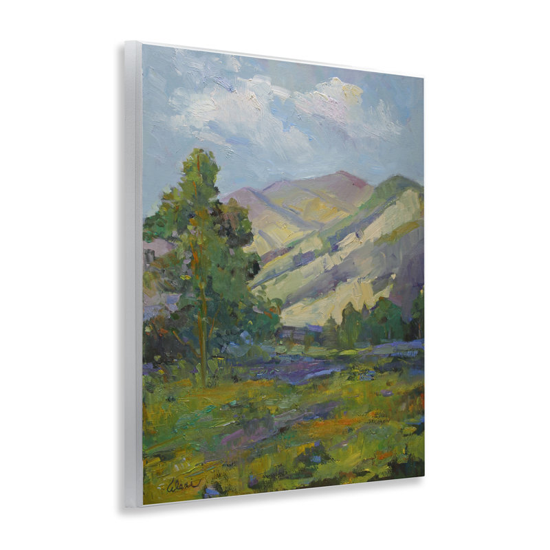  «Spring Day Mountain» par Alexi Fine