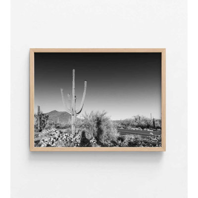 Desert Sentinel - Photographie de paysage en noir et blanc