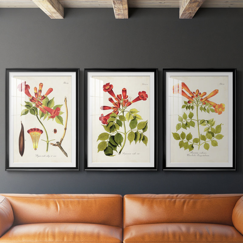 Fleurs tropicales de trompette I - impression encadrée sur mesure de qualité supérieure - 3 pièces, Noir, H 21 po x l 30 po
