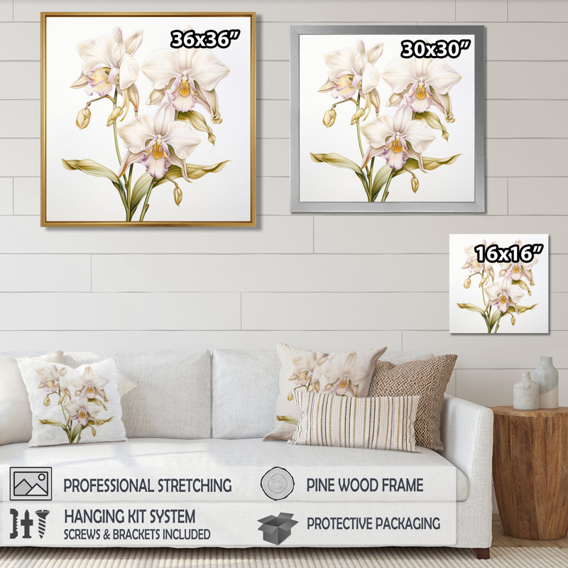 Illustration rétro d'une orchidée blanche - art mural orchidée, H 36 po x l 36 po, Cadre flottant blanc, bois massif