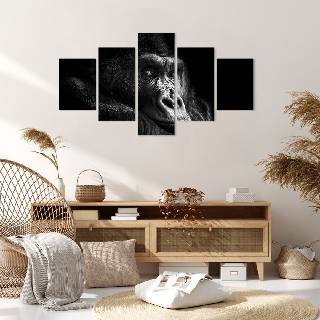 5-tlg. Fotodruck-Set Monkey Gorilla