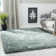 Barto 900 Performance Solid Color Rug