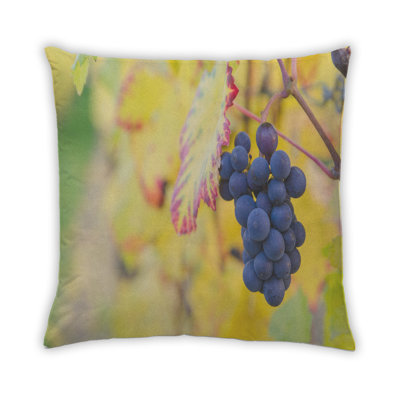 Coussin Foods Fruits