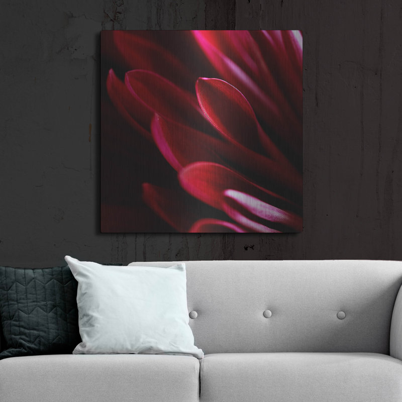 Ebern Designs «Red Chrysanthemum Close up 01» par Tom Quartermaine, art mural en métal, H 36 po x l 36 po