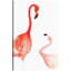 « flamant rose family », impression-22133203-22133198