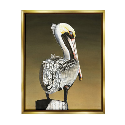 «Pelican With Intense Gaze» par Christine Reichow sur