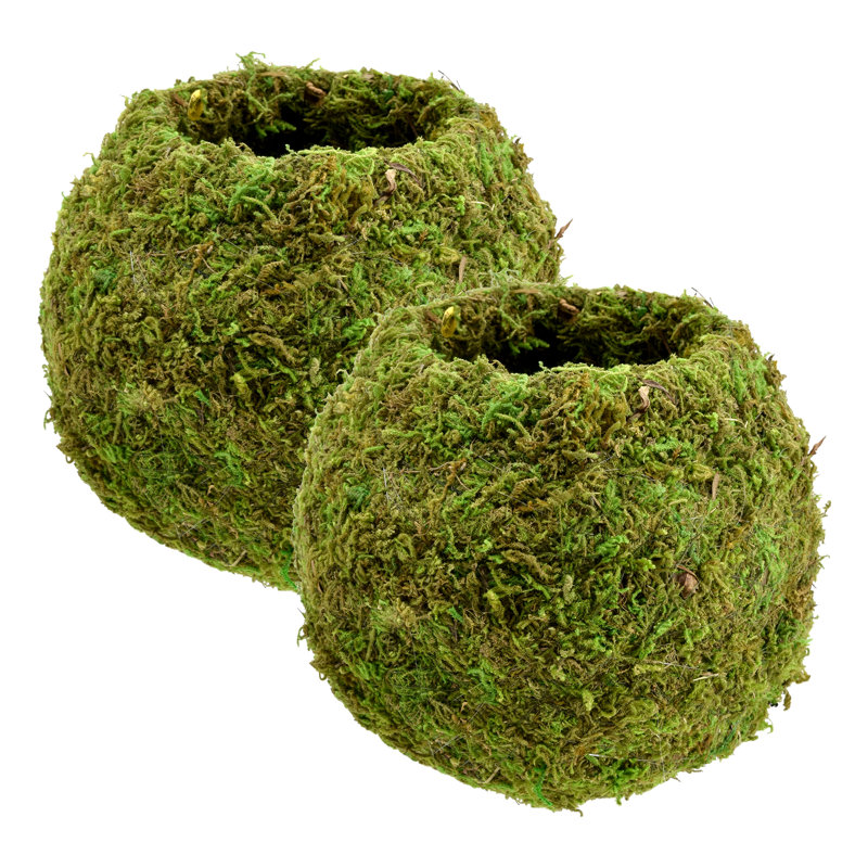 Bumgarner Pot Planter, 5.9" H x 6" W x 6" D, Green