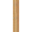 Sapin Douglas-109314315-113718480