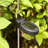 Low Voltage Solar Powered LED Pathway Light Pack