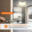 1-Light Flush Mount