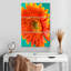 Harnek orange Gerbera Daisy II-108596236