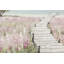 Sea of Flowers Hand Painted Acrylic Painting