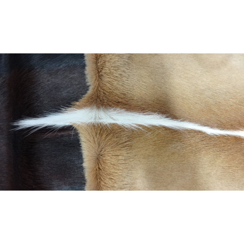 Peau naturelle Springbok