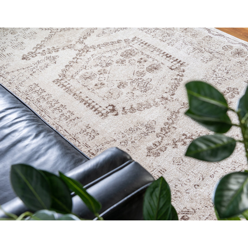 Vern Oriental Area Rug, Beige, Rectangle 4' x 6'