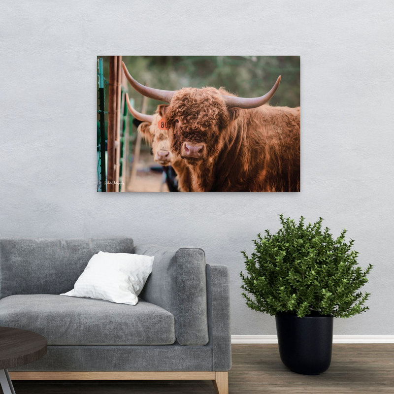 «The Bull», art contemporain abstrait, H 32 po x l 48 po