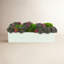 Multi Colored Sedum In White Planter-1228368899-1228368898