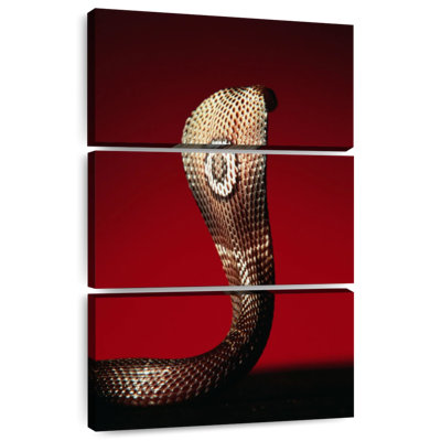 Brampt Cobra