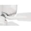 Ventilateur de plafond 52 po-1362405149