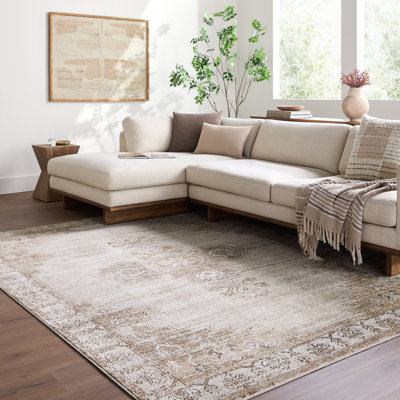 Moroccan Area Rug