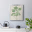 Toile encadrée de qualité supérieure Vintage Garden I - prête à être accrochée-166345399-166345396