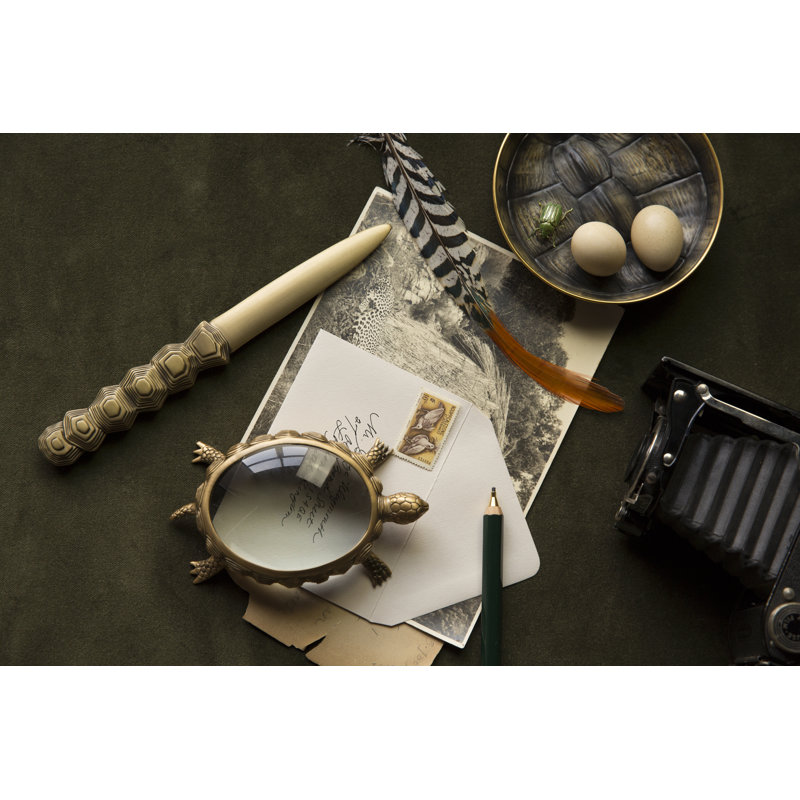 Turtle Magnifier - High Polish Gold