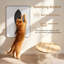 Grattoir mural pour chat