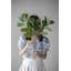 Collection S / 5 French Country Home Decor avec plante artificielle, vase, plateaux, tabouret et table d'appoint
