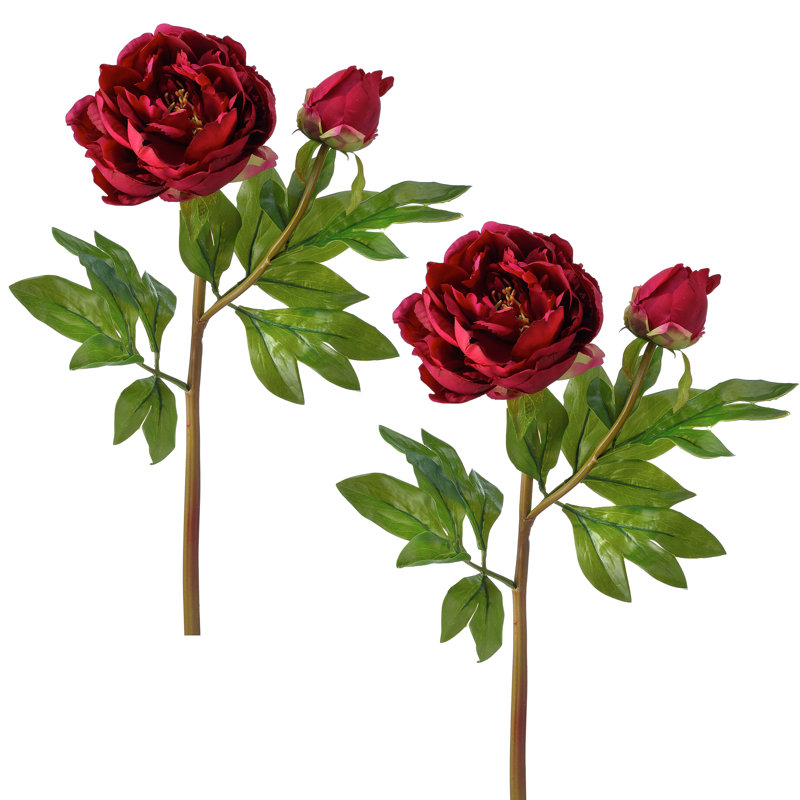 Pivoine de jardin 26 po Just Cut, Rouge, H 26 po x l 9 po x P 6 po