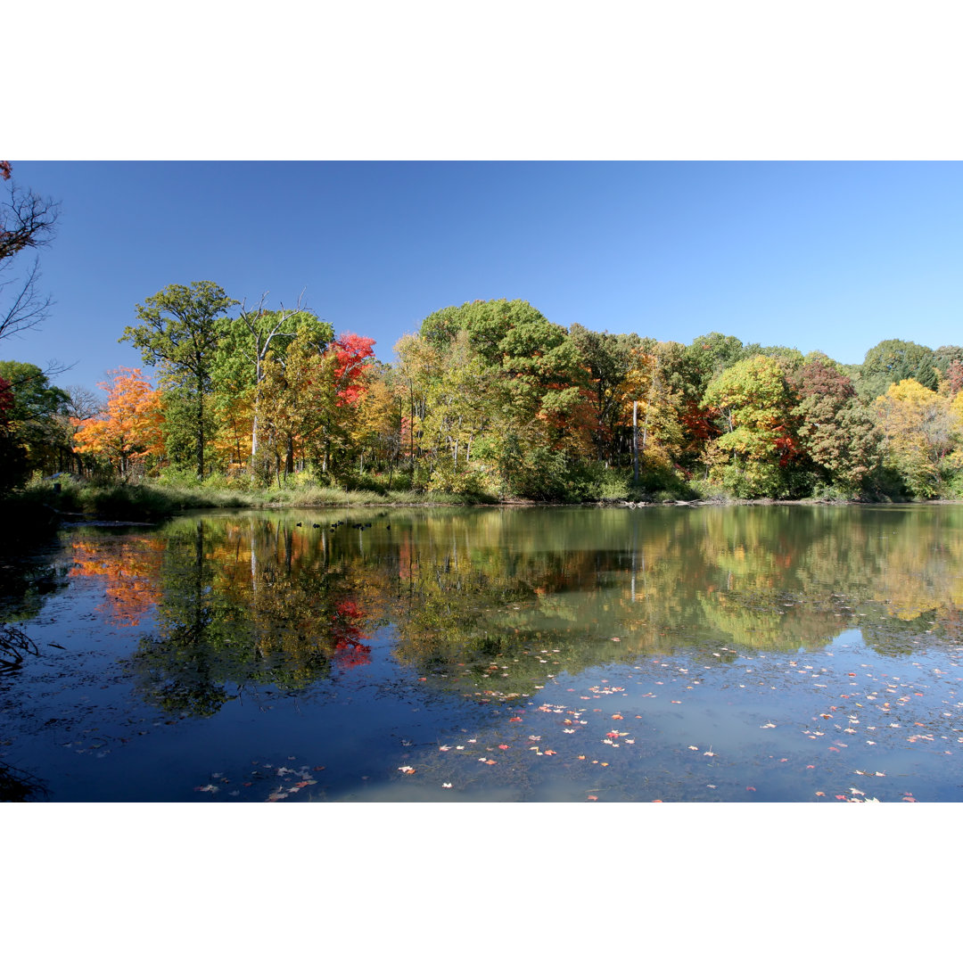 Herbstsee in Illinois von Stevegeer - Drucken