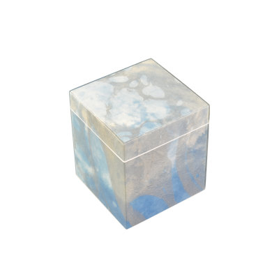 Contenant de rangement en coton-tige