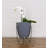 Clent Pot Planter-453852781-509738425