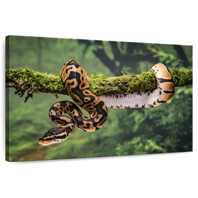 Python On Branch