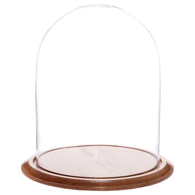 Cloche en verre Vucciria, Base en chêne, H 23 po x l 11,75 po x P 11,75 po