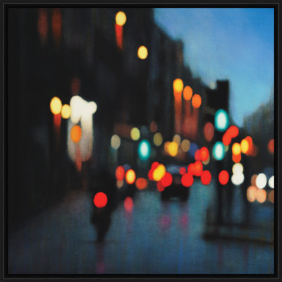 Denizens 1 Framed Print Canvas