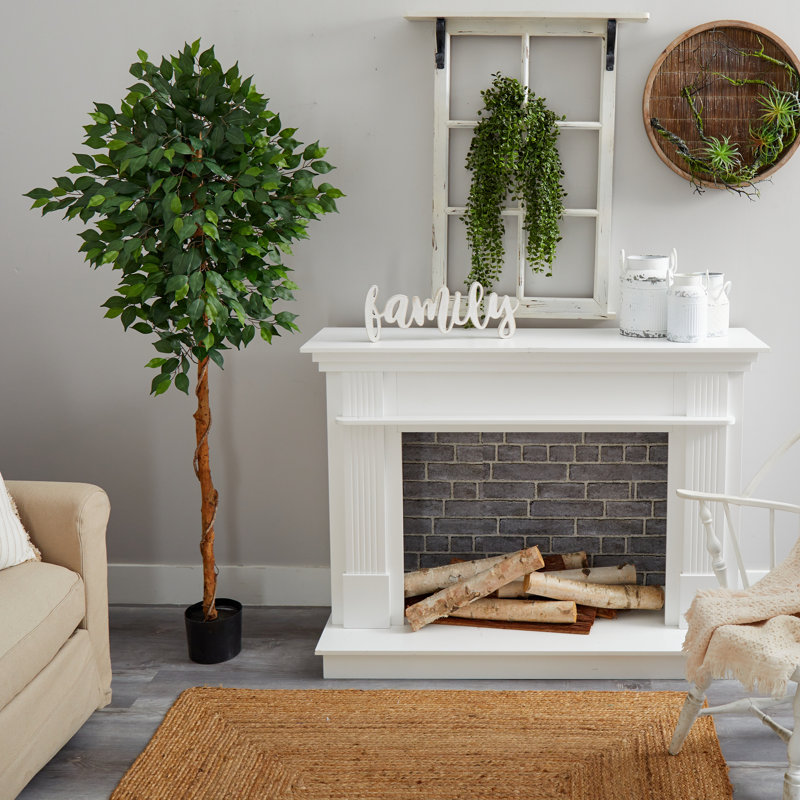 Faux Ficus Tree in Planter, 72" H x 27" W x 16" D