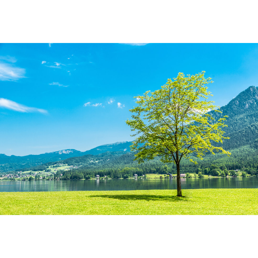 Einzelner Baum am Wasser von CHUNYIP WONG - Leinwandbild