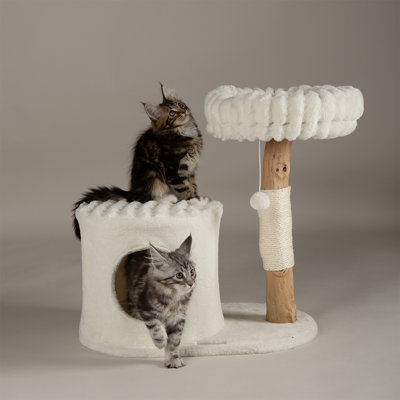 Scruffs Himalayas Cat Scratching Tree