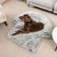 Lit pour chien Tucker Murphy Pet ™-232236125-232236121
