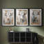 ANIMALS Series CXL - Impression encadrée sur mesure de qualité supérieure - 3 pièces-1489468632-1489468634