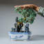Genuine Green Aventurine Bonsai Tree in Square Ceramic Pot (13")