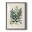 Collectionner Ferns VII Premium encadré mat - prêt à être accroché-1331941658-1331941650
