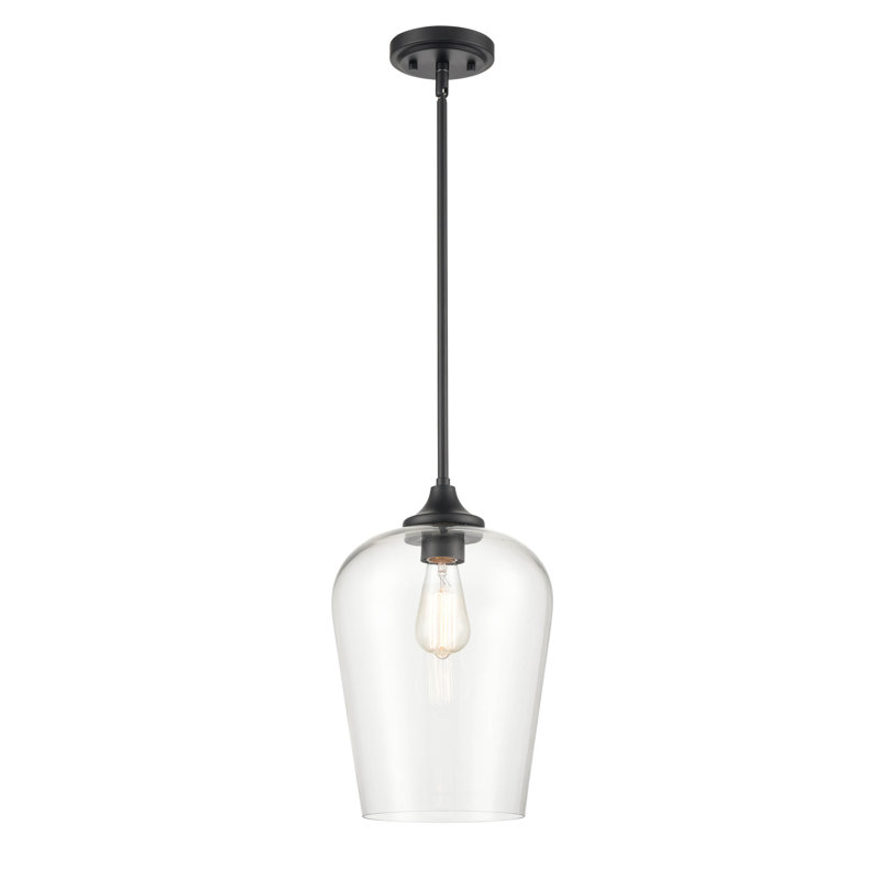 Ashford Mini-Pendant Light in Matte Black with Clear Glass Globe
