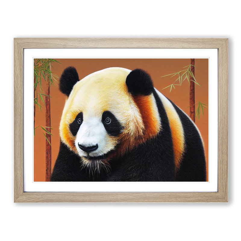 Bewitching Panda - Single Picture Frame Print, 46cm H x 64cm W x 2cm D, Oak Framed
