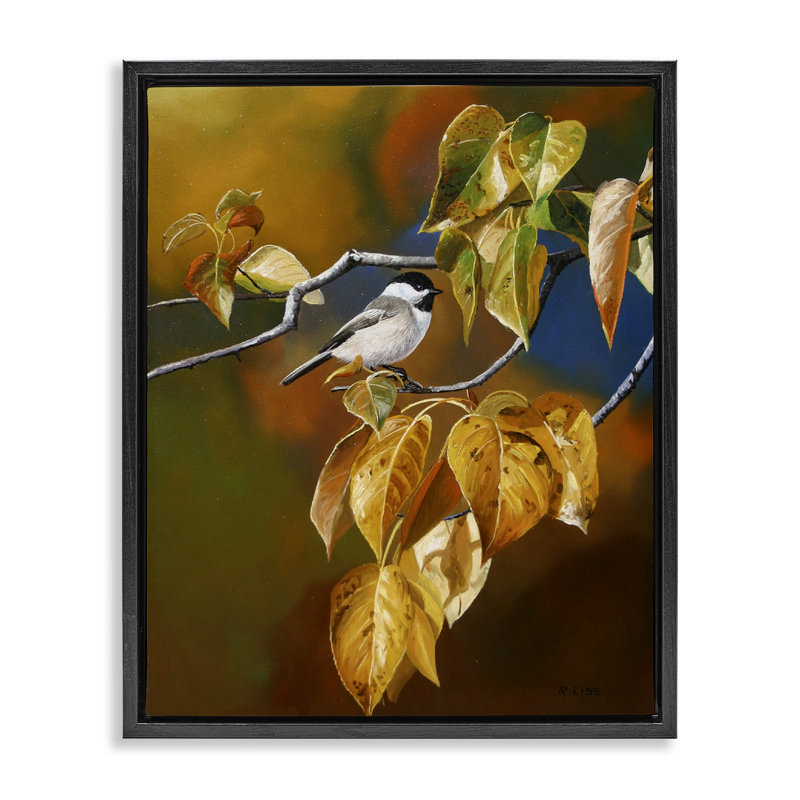 «Chickadee on Branch», art mural encadré gris flottant par Andrew Kiss, H 31 po x l 25 po, Cadre flottant noir de jais