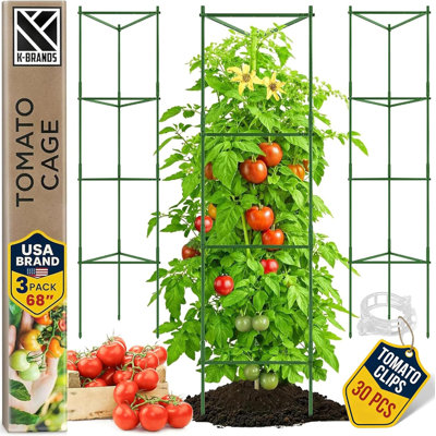 Treillis pour jardin et pots à fleurs Tomatoes Plant Stakes