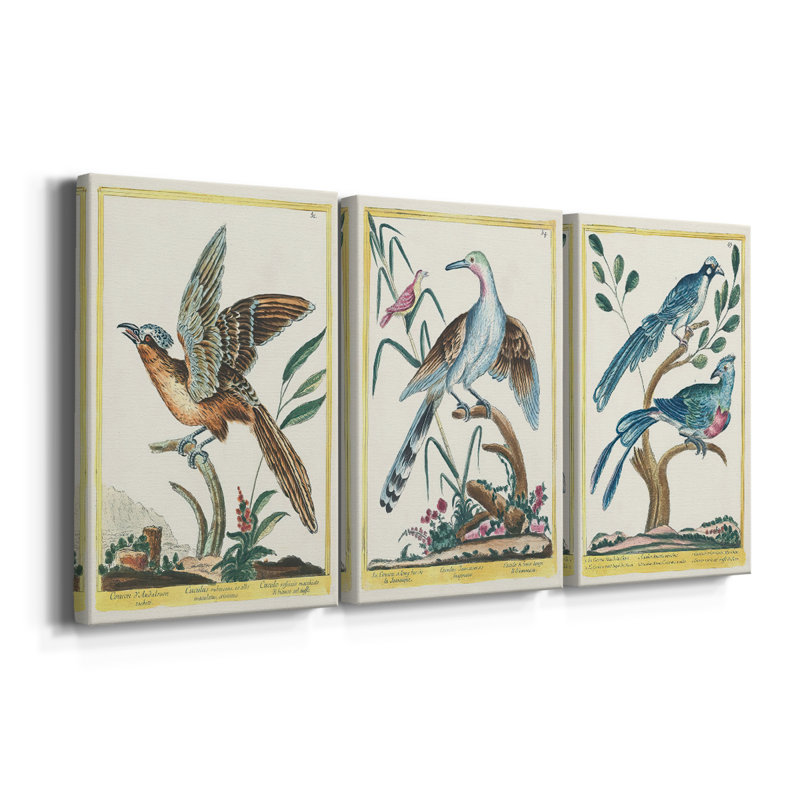 Pastel Birds IV - Toile tendue avec châssis sur mesure - 3 pièces, H 12 po x l 24 po