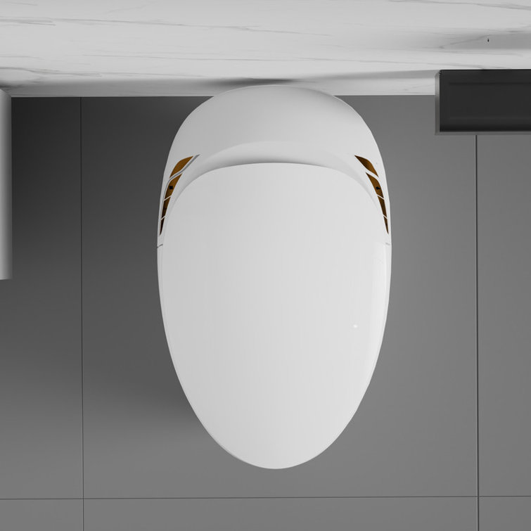 Smart Toilet with Bidet Built In, Intelligent One Piece Toilet , Auto Open/Close Seat Foot Sensor