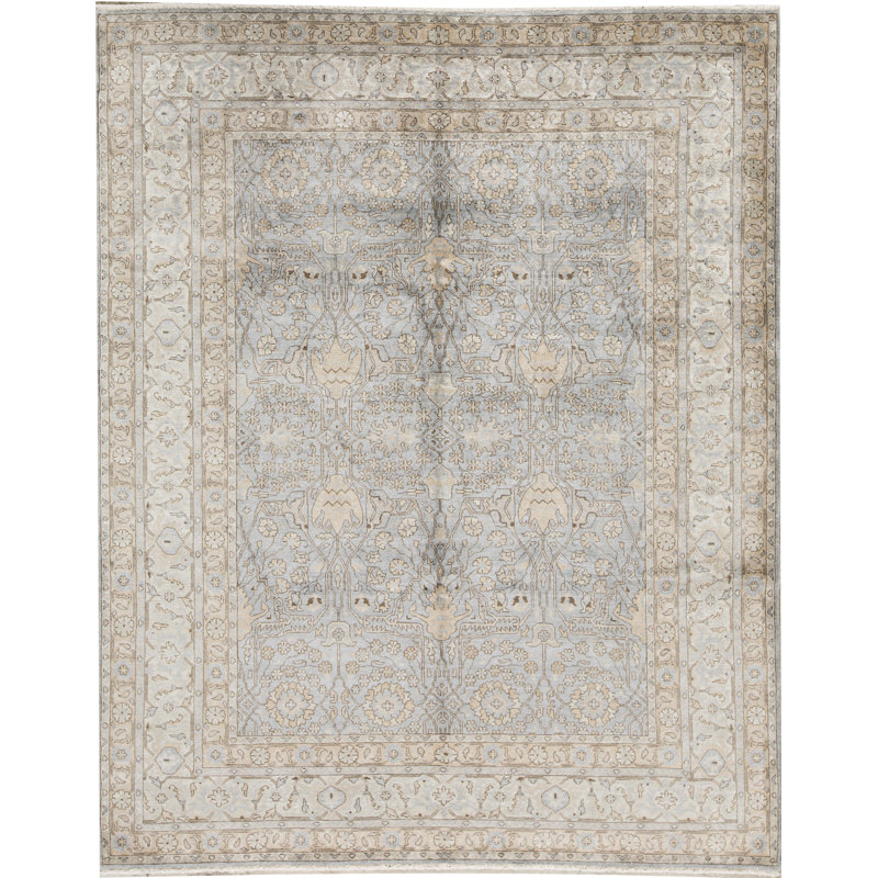 Bakshahesh Oriental Area Rug