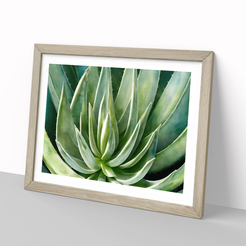 Watercolour Aloe Vera Plant - Single Picture Frame Painting, Oak Framed, 25cm H x 34cm W x 2cm D