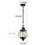 Luminaire suspendu d’extérieur à 1 ampoule h 13,38 po black Branton